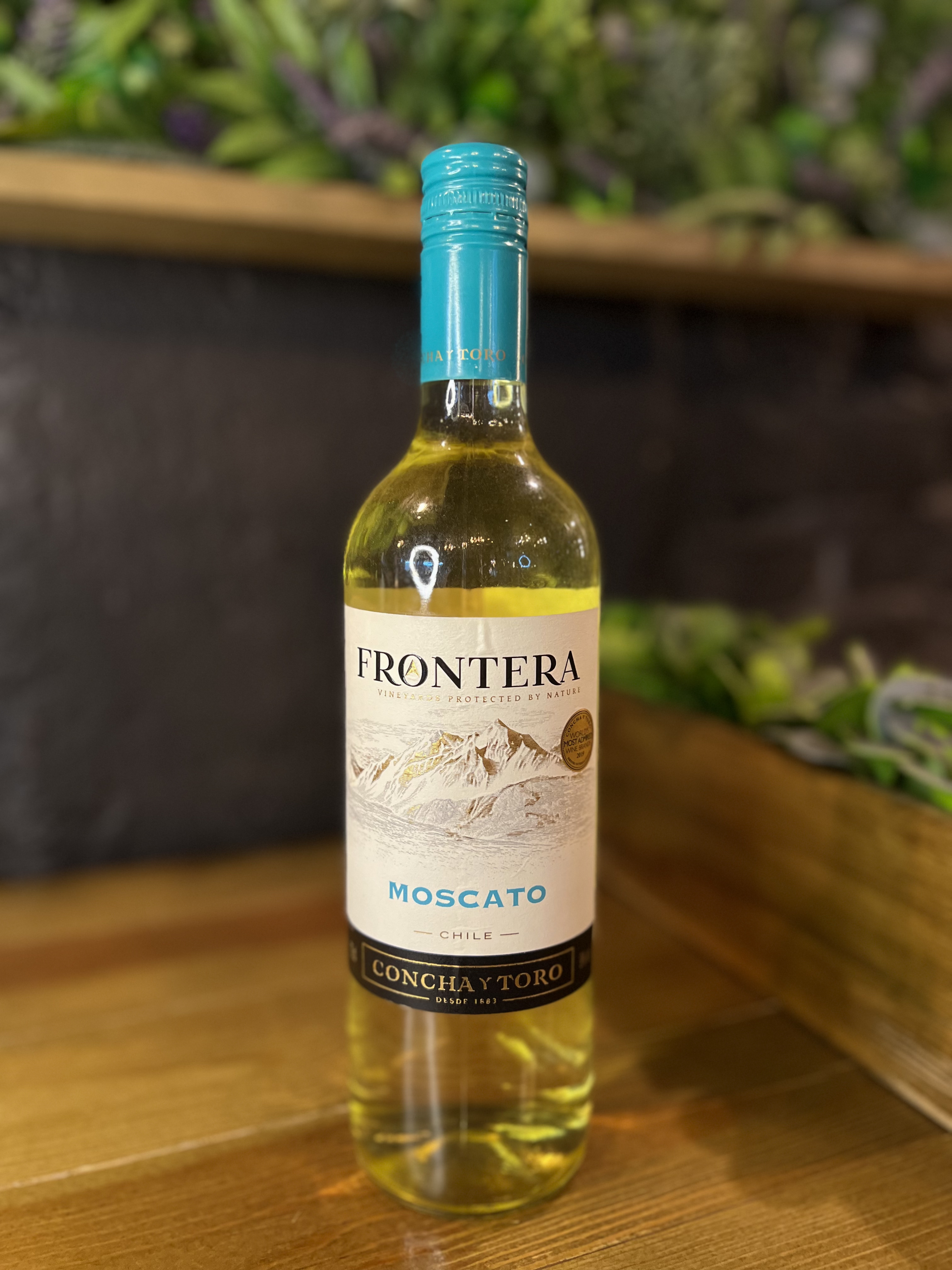 Заказать Frontera Moscato